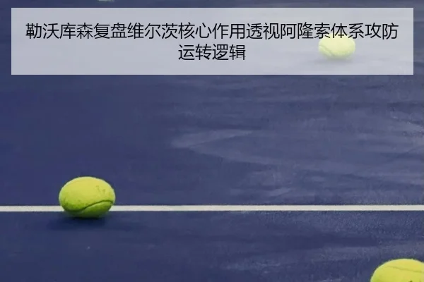 lei-wo-ku-sen-fu-pan-wei-er-ci-he-xin-zuo-yong-tou-shi-a-long-suo-ti-xi-gong-fang-yun-zhuan-luo-ji-3-565.jpg