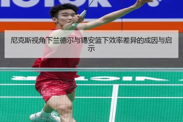 尼克斯视角下兰德尔与锡安篮下效率差异的成因与启示